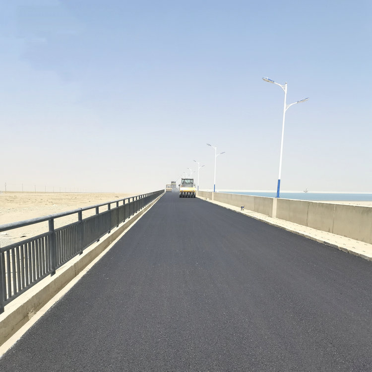 2023.4.8 225團(tuán)調(diào)節(jié)池道路鋪油工程如火如荼進(jìn)行中1_副本.jpg
